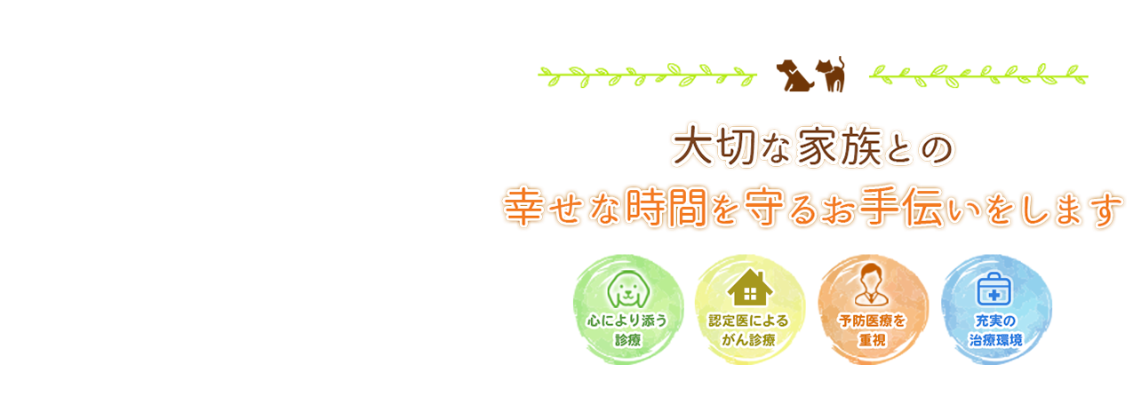 高知市・松宮動物病院